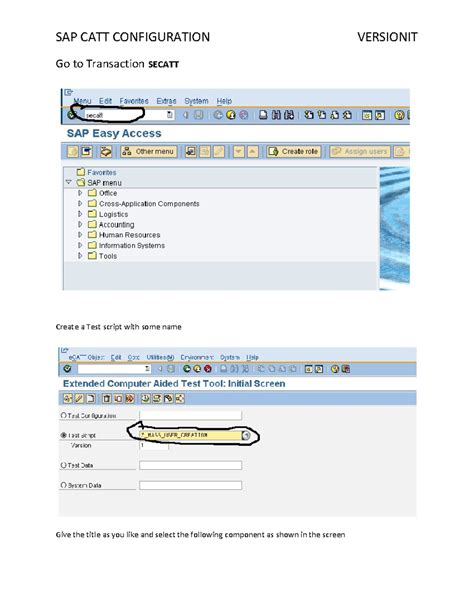 SAP CATT Configuration Guide: Test Script Creation Steps - Studocu