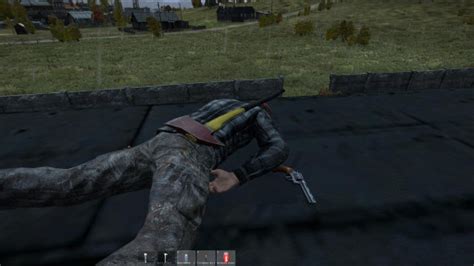 Image result for DayZ Beginners Guide