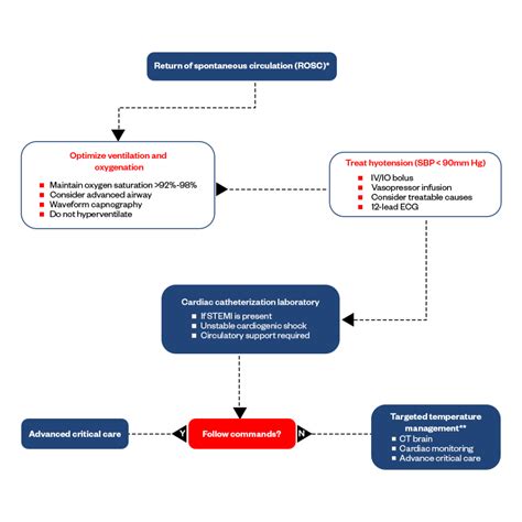 Image result for ACLS Code Algorithm Timeline