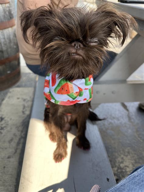 Paulina is 10 1/2 months …time is flying. She cracks us up so much ...