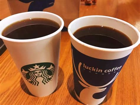 星巴克宣布推出一款顛覆性的全新咖啡 -- Oleato - 向富實業股份有限公司