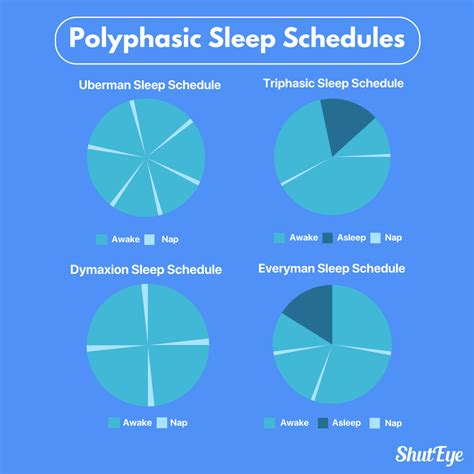 Polyphasic Sleep 的图像结果
