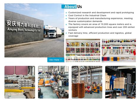 Company Overview - Anqing Boris Technology Co., Ltd.