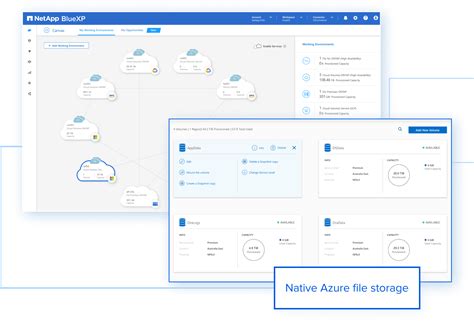 Image result for NetApp Cluexp Classification