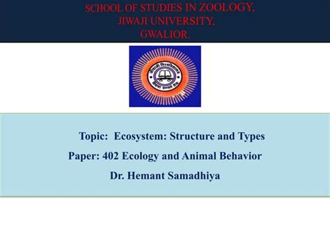 Image result for Ecosystem Structure Model