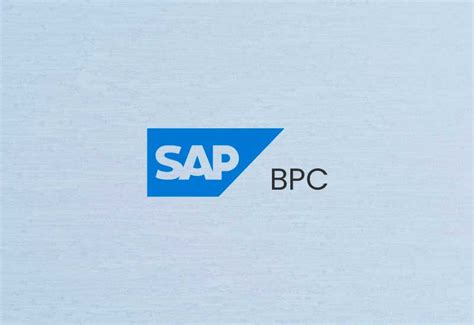 Image result for SAP BPC Input Form
