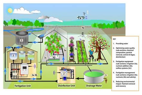 Image result for Fertigation Setup
