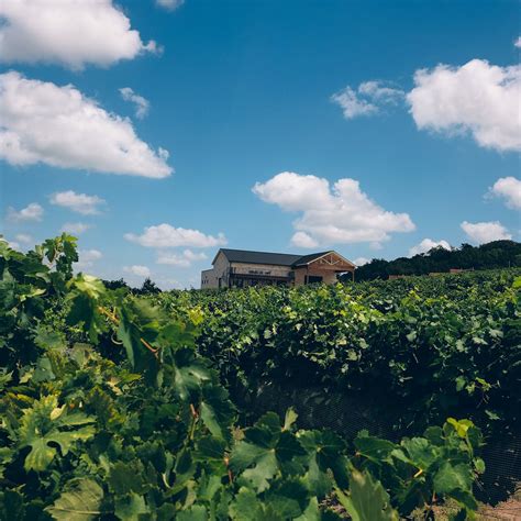 Valley Mills Vineyards (2026) - All You MUST Know Before You Go (w ...