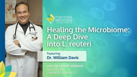 Healing the Microbiome: A Deep Dive into L. reuteri | Functional ...