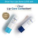Buy Dove Hydro Nourishing Lip Care, Lip Balm, 24 Hours Hydration (Pack ...