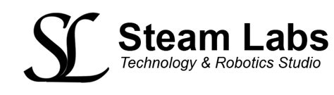 Steam Labs Python File Handling 的图像结果