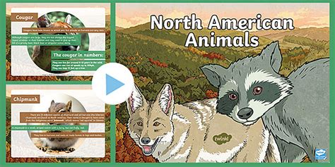 Animals of North America PowerPoint | Primary Resources
