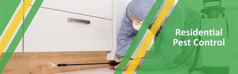 Residential Pest Control Services