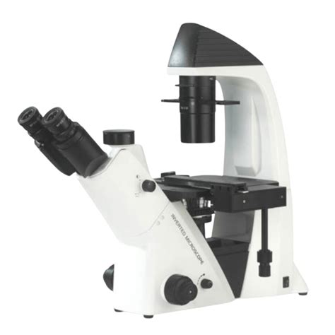 Image result for Inverted Light Microscope