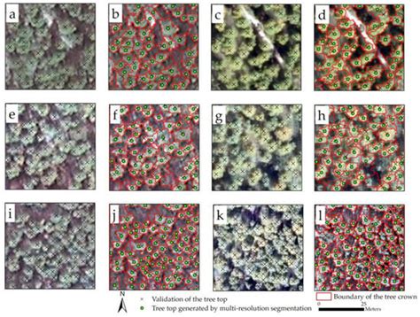 Tree Species Classification in Subtropical Natural Forests Using High ...