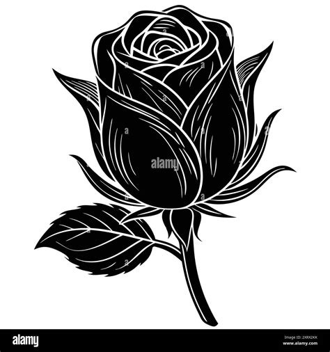 Rose Black Color Silhouette and Flat Rose Flower icon Elegant Vector ...