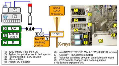 Adding Size Exclusion Chromatography (SEC) and Light Scattering (LS ...