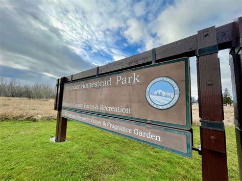 Millions of trees are coming to Whatcom | Cascadia Daily News