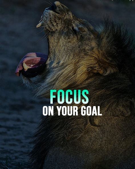 Spring Trans 的图像结果