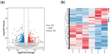 Sex-Dimorphic Differential Expression Profiles in the Brain of the ...