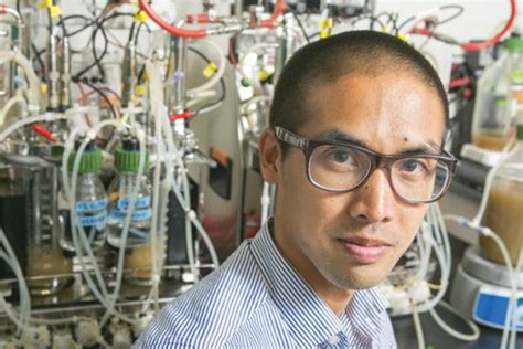 David Lab 的图像结果