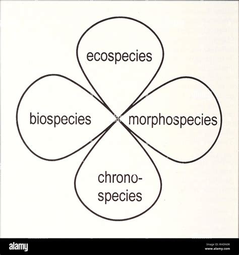 Morphological Species Concept Example Of