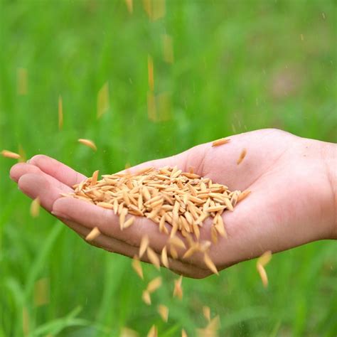 About Us :: Sarvottam Agro