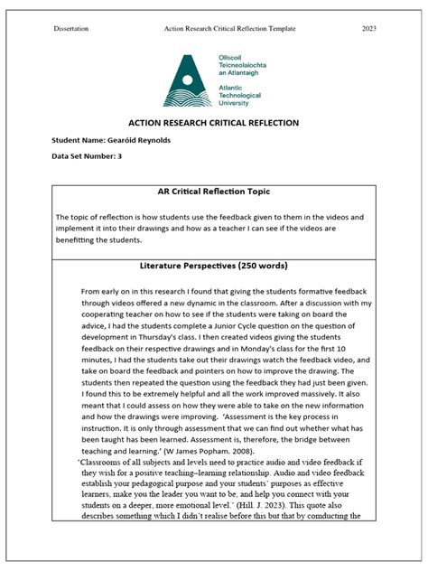 Critical Reflection Assignment 的图像结果