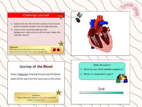 Heart Function GCSE 的图像结果