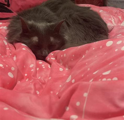 Image result for EEP Tutorial for Beginners