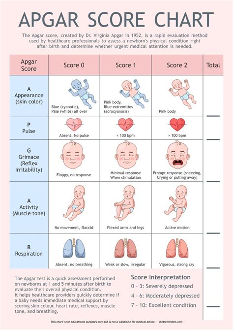 Apgar Score Chart: Newborn Health Assessment Tool (PDF Digital Download ...