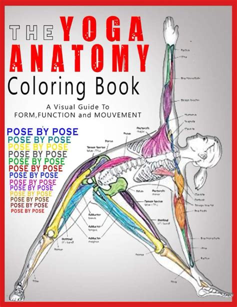 The Yoga Anatomy Coloring Book Pose By Pose I Visual | Desertcart INDIA