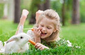 Image result for Bunny Care Sheet