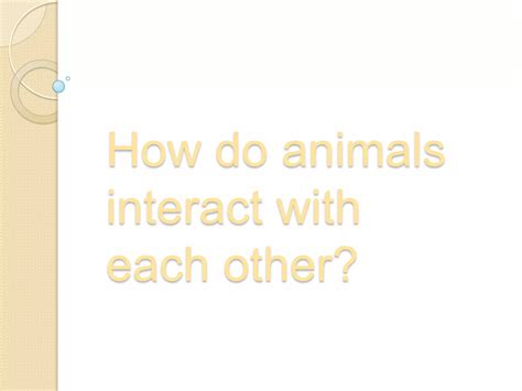 Life Process 的图像结果