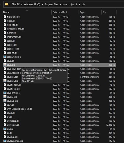Image result for Java TM Platform SE Binary Windows 1.0 Download