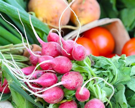 Produce 的图像结果