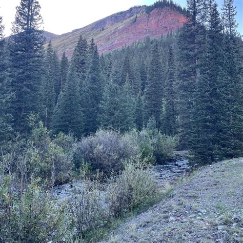 South Mineral Campground — San Juan National Forest | Ophir, Colorado