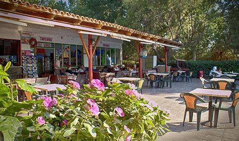 CAMPING NOPIGIA (Kissamos, Crete) - Campground Reviews, Photos, Rate ...
