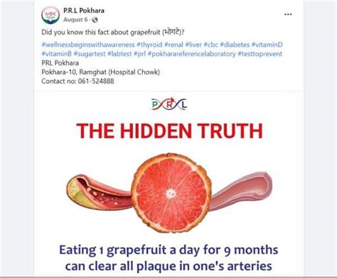Fact Check: Can grapefruit remove all plaque from arteries? - THIP