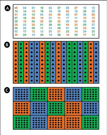 Image result for Randomized Programming Part 3