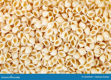 Image result for Types of Pasta Shells