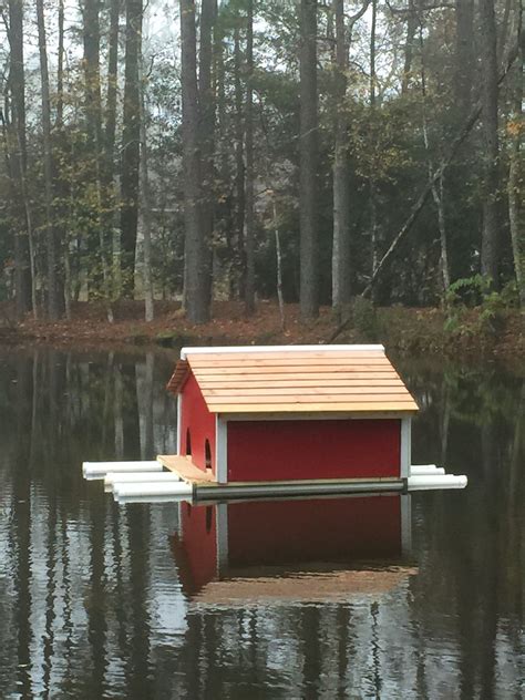 Floating Duck House Plans: A Guide To Building A Home For Your Ducks ...