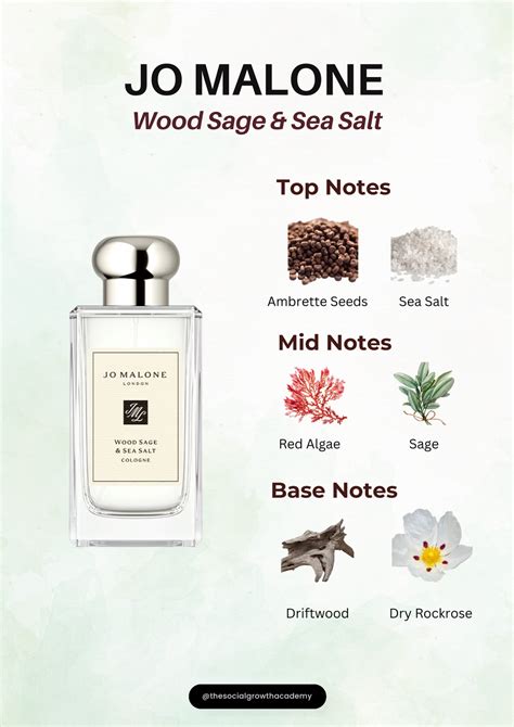 JO MALONE Wood Sage & Sea Salt Notes Breakdown | Perfume scents ...
