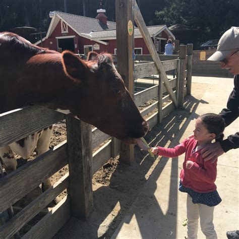 ARTICLE-9 idyllic Bay Area picnic spots - Berkeley and Beyond
