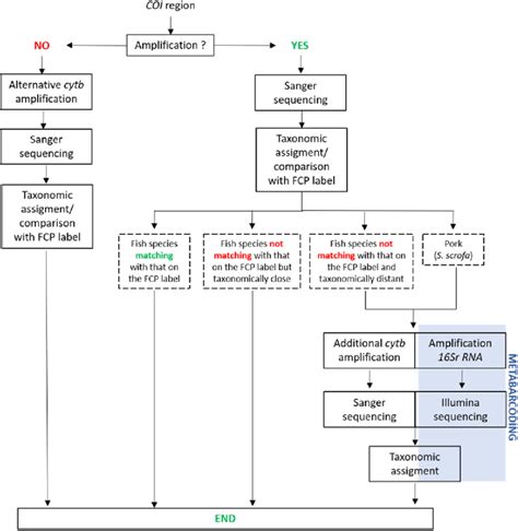 Image result for Simple Process Flowchart of DNA Barcoding