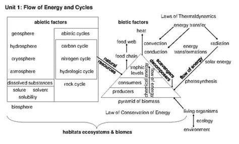 Environmental Science Concept Map 的图像结果
