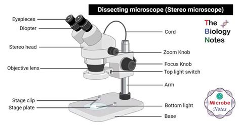 Image result for Virtual Microscope