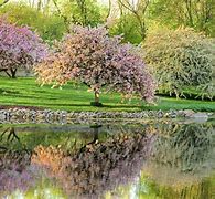 Image result for Spring Nature Photography Backgrounds