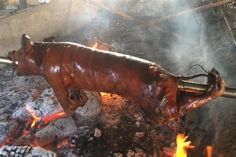 Cebu Lechon 的图像结果