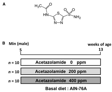 Impact of Acetazolamide, a Carbonic Anhydrase Inhibitor, on the ...